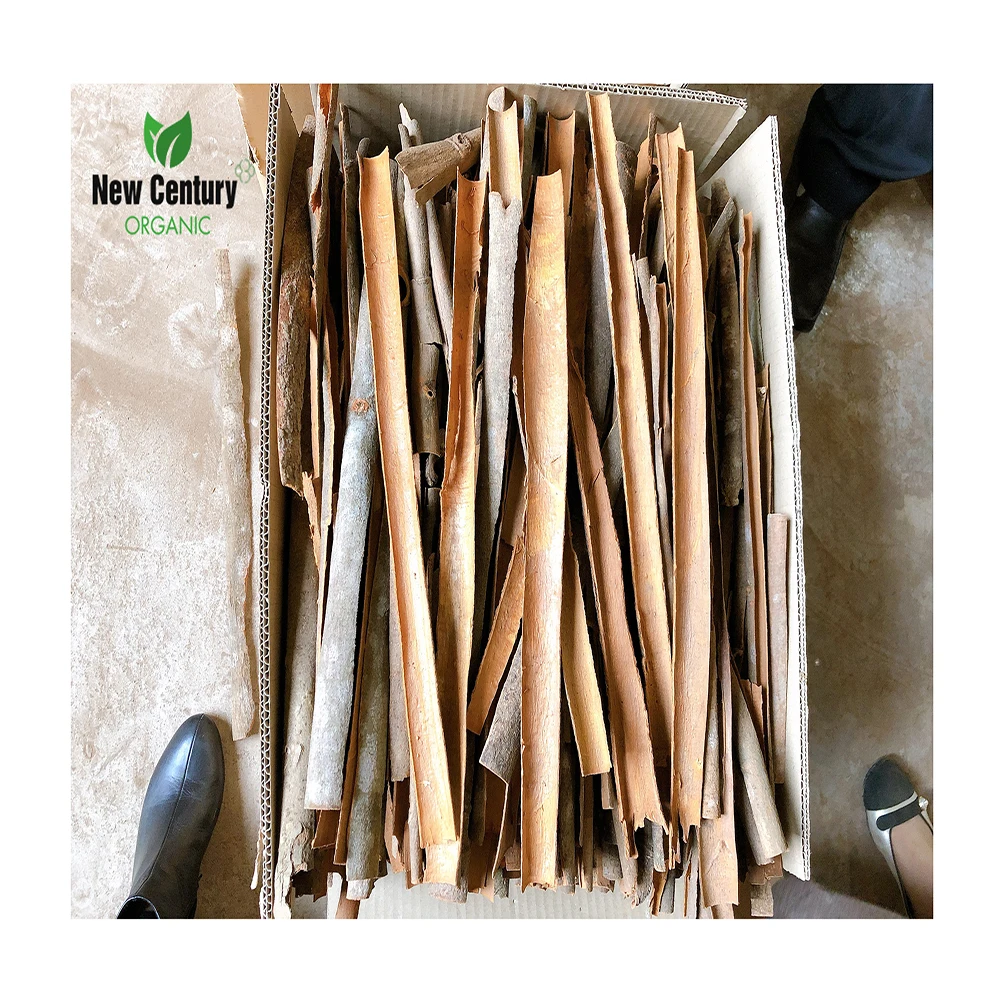 Vietnam Split Cassia/Cinnamon with Good Quality and Price