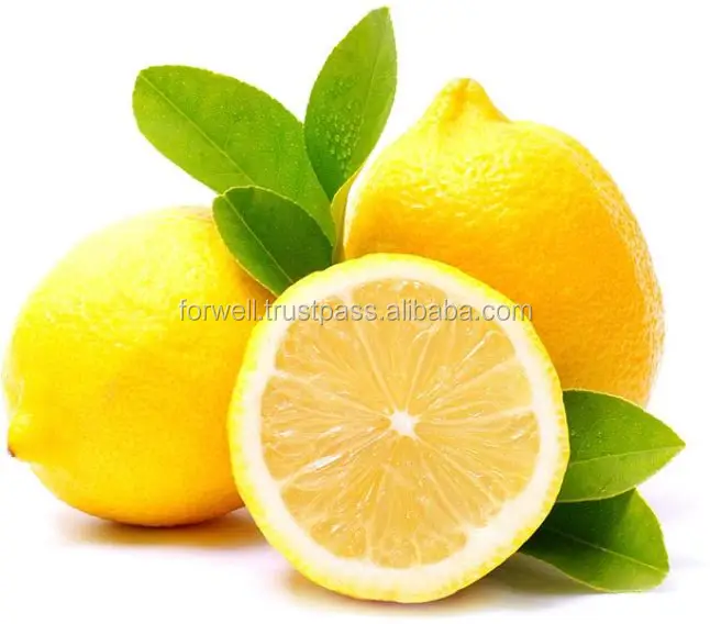 Perfect Price & quality Egyptian lemon
