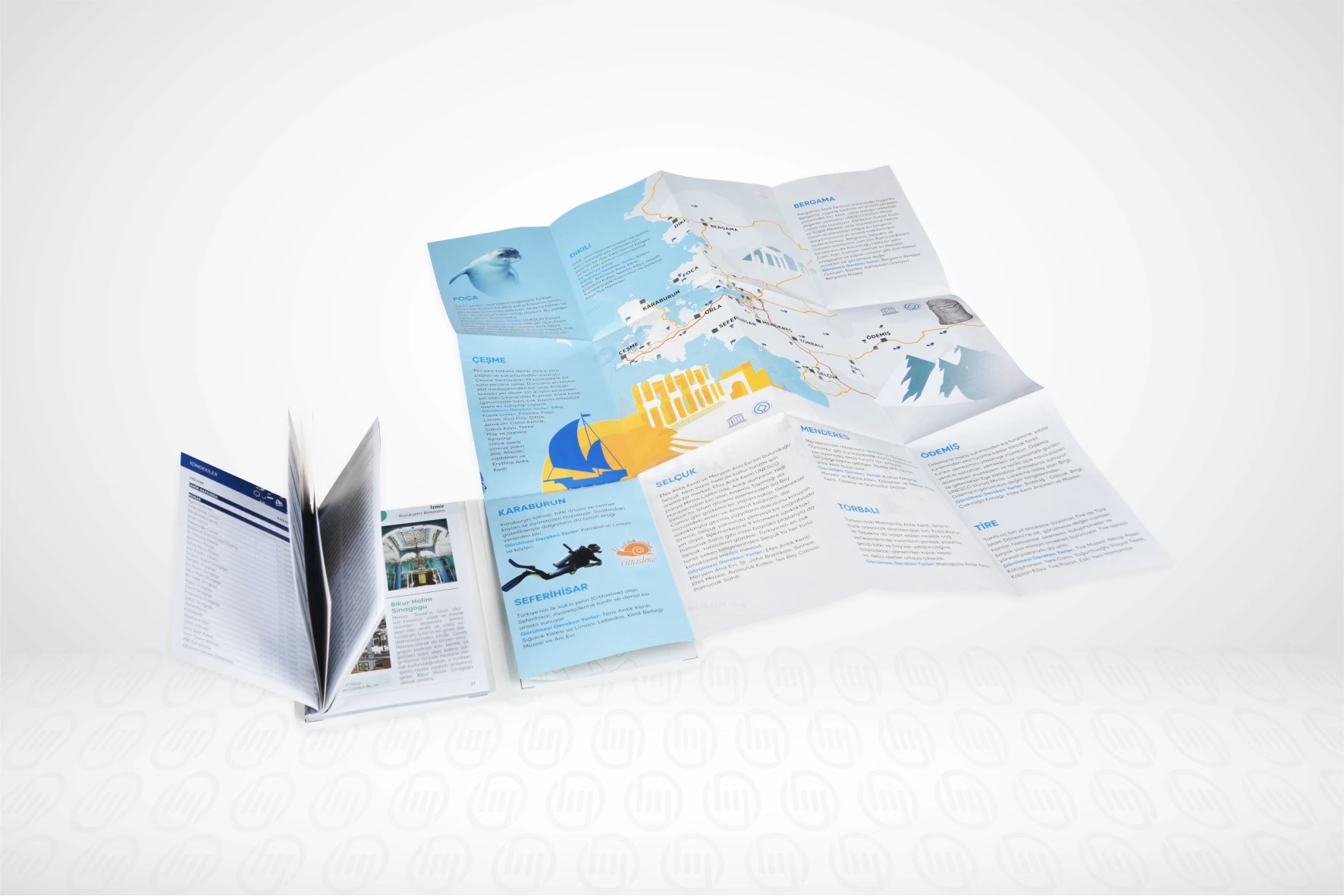 brochure ofset printing manufacturer of flyer with book best price