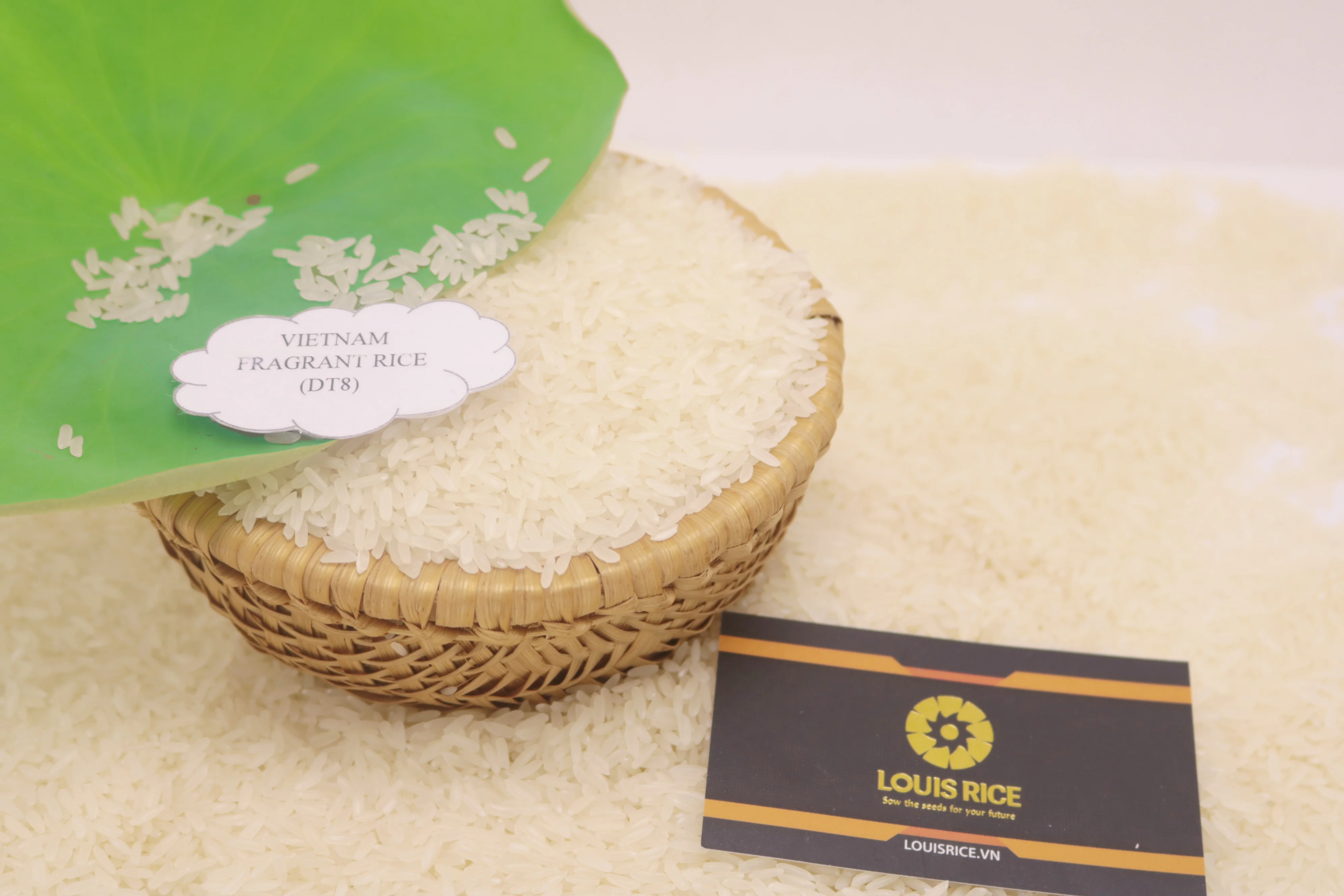 Best Dai Thom 8 rice 5% broken