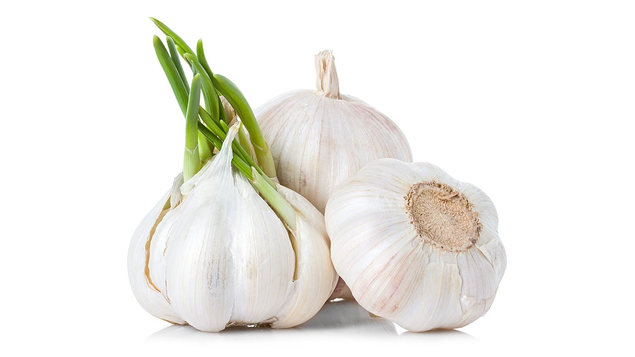 Top High Quality Fresh Garlic White OEM Head Style Time Weight Normal Hours Origin Type Year New Crop From Vietnam