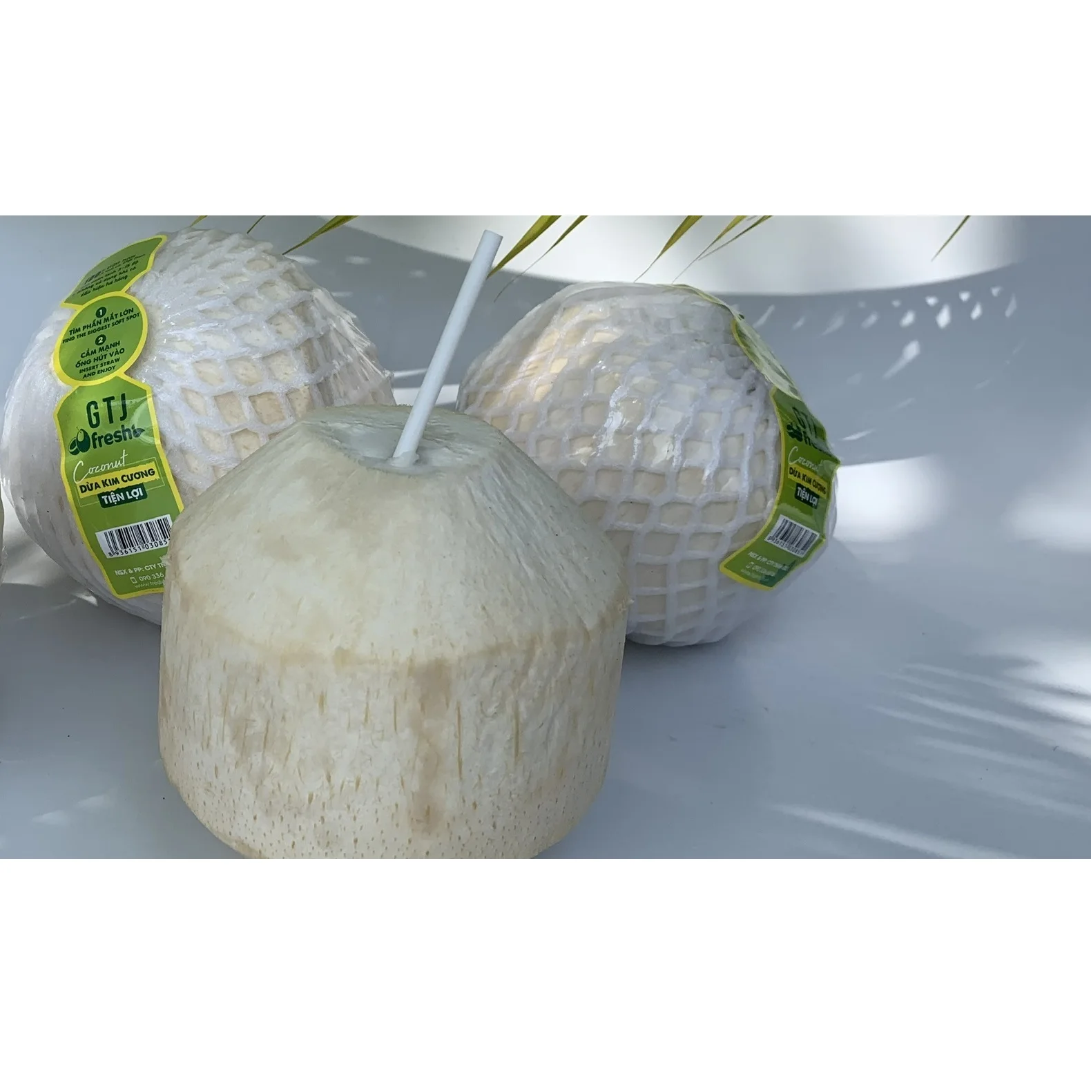 
100% fresh coconut from Mekong Delta Convenient Diamond Cut Shape Coconut exporter from Vietnam 