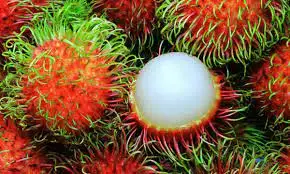 High Quality Rambutan Fruit in Fresh Style for Export Sweet Taste for Food Plant-Direct