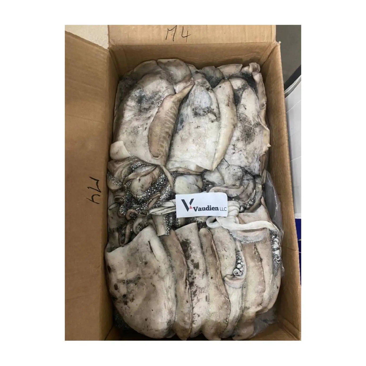 Moroccan Sepiida Seiches Top Selling Healthy Quality Export Frozen Best Grade Cuttlefish