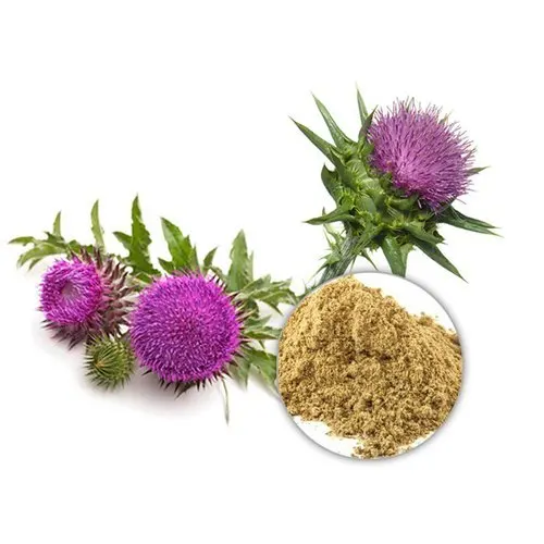 
100% Natural Milk Thistle extract oil silymarin powder USP EU Grade ISO 22000 UKAS 