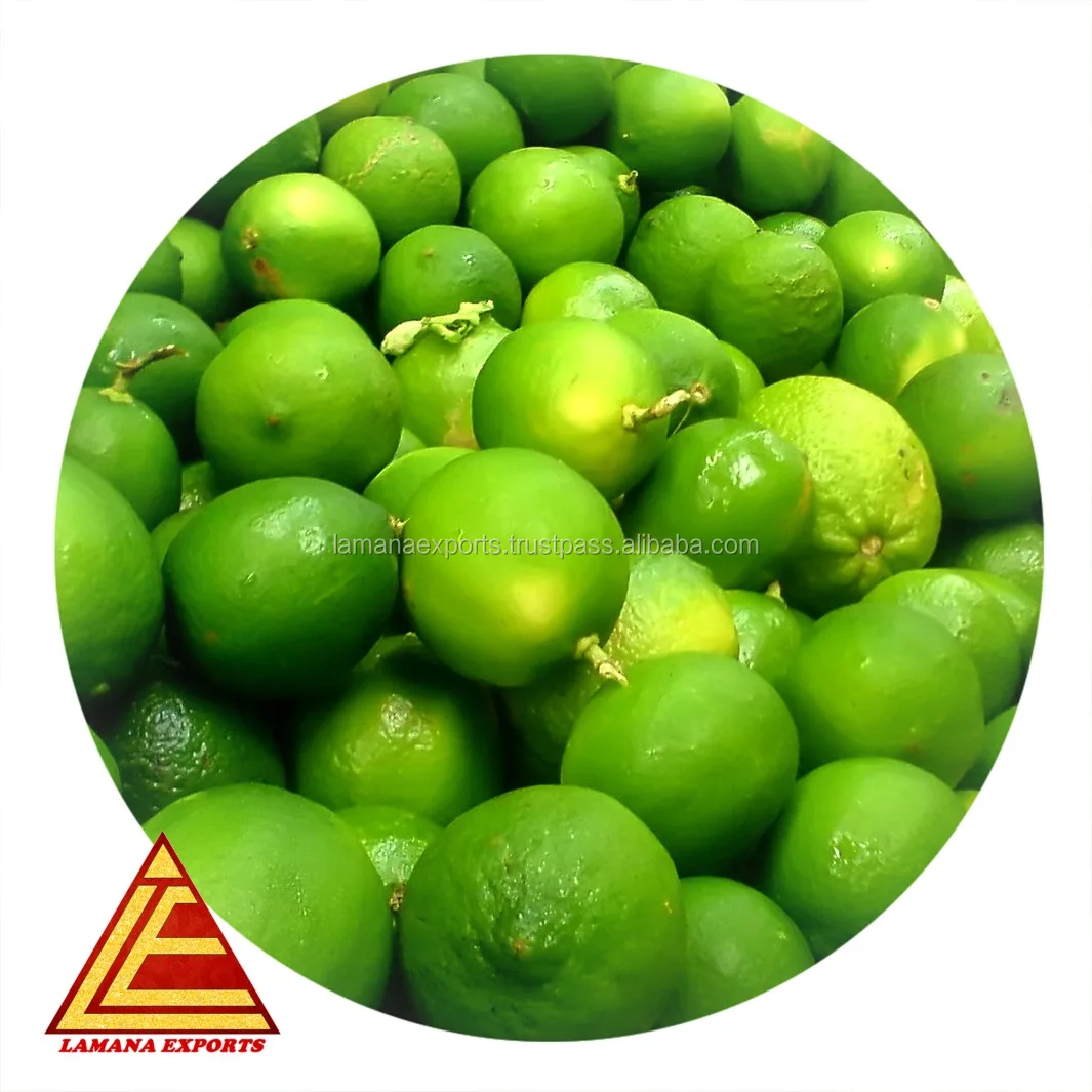
 Fresh Lemon for Export Vietnam Malaysia Singapore Thailand   (50030139434)