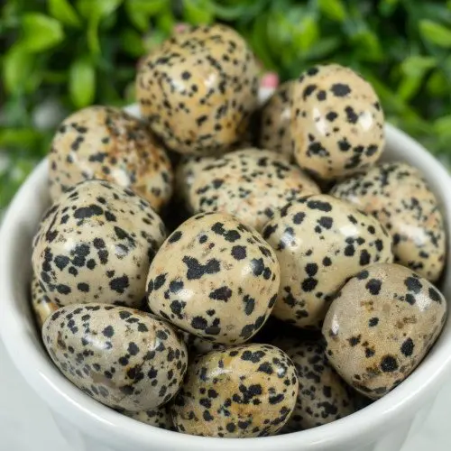 
 DALMATIAN TUMBLED POLISHED NATURAL FOR REIKI AND ENERGY CRYSTAL HEALING  