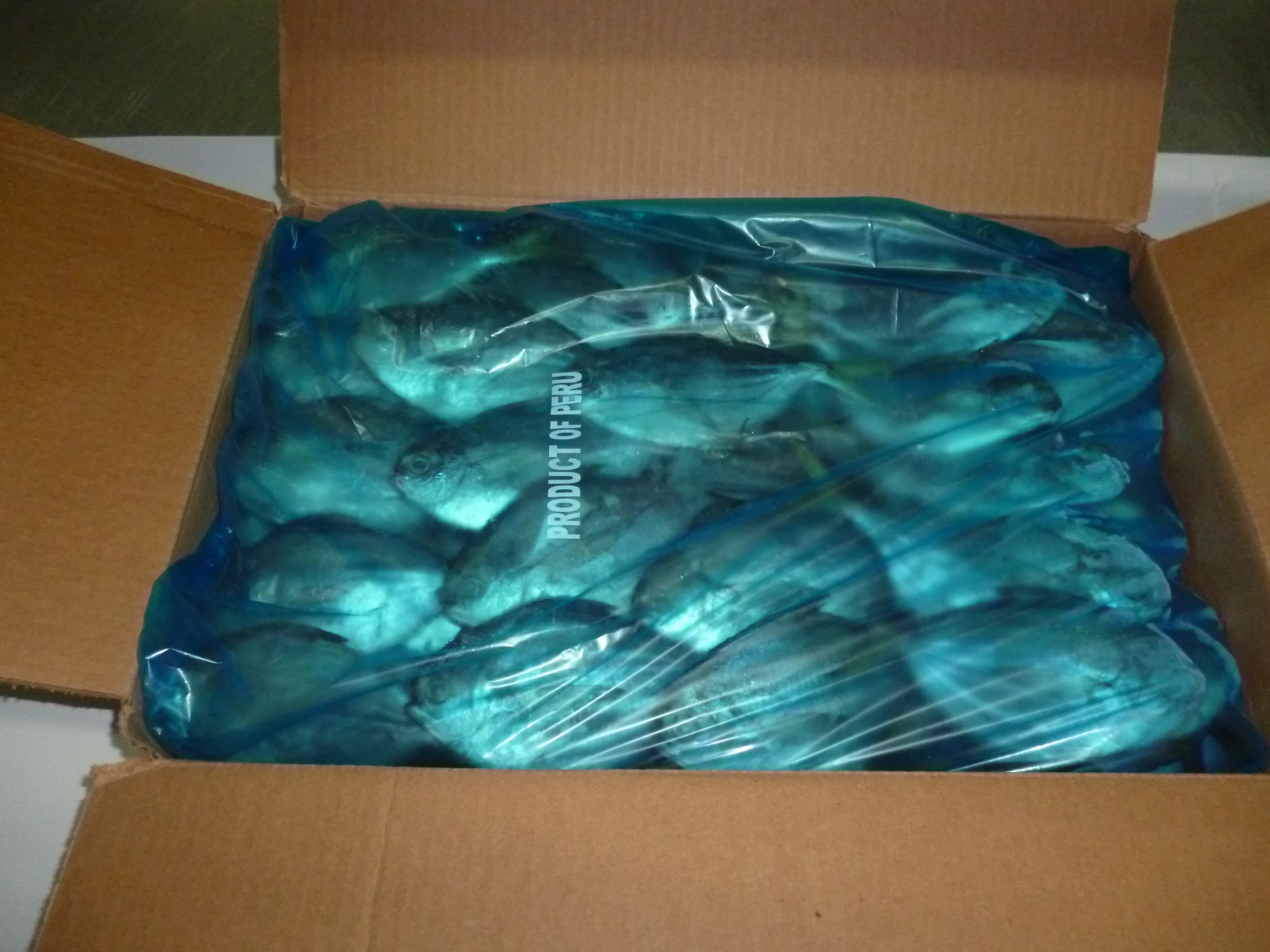 Butterfish Whole Round (Peprilus Medius)