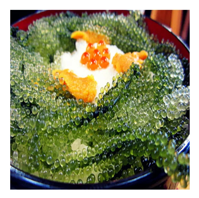 Натуральные морские водоросли, еды из моря/океана-дегидрат, морской виноград, смесь с овощами, повышающий аппетит