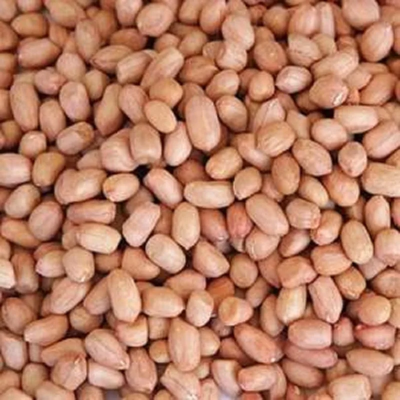 Red Skin Peanuts Or Groundnuts In Shell