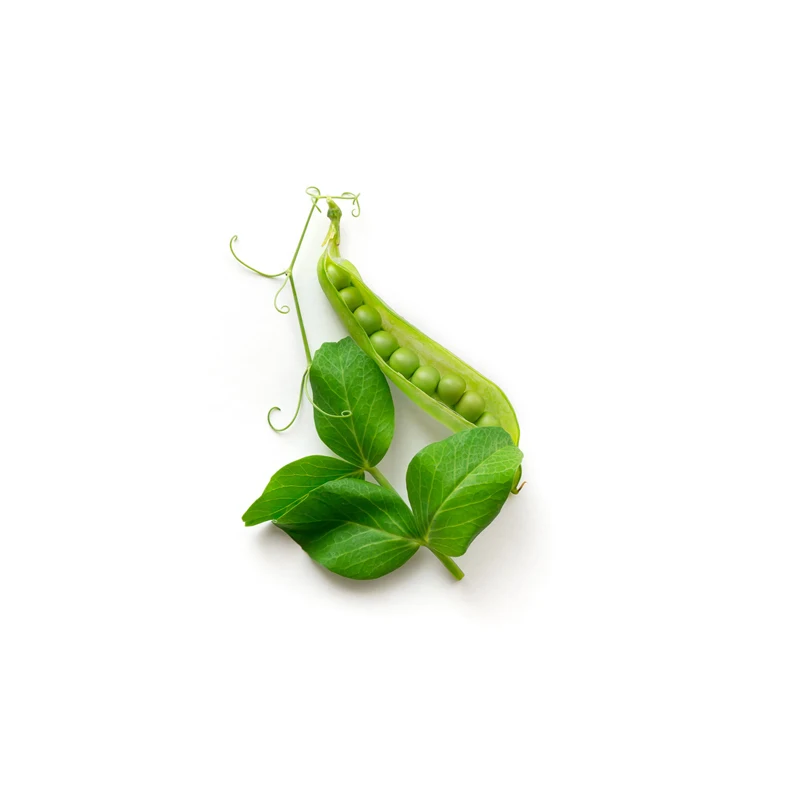 
Wholesale top product best price whole pea 