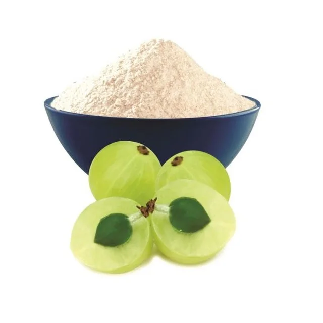 Amla Powder Powder Pure Anti-oxidation Product Organic Amla Gooseberry Extract Powder  Phyllanthus Emblica Fruit Extract