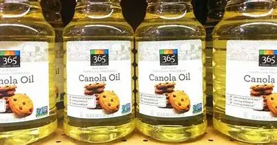 100% Pure refined Canola/Rapeseed oil/100% Refined Rapeseed Oil Cooking Oil