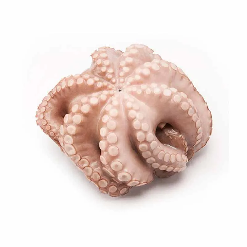 Fresh Frozen Octopus Long Leg / Short Leg 300-500g in Bulk