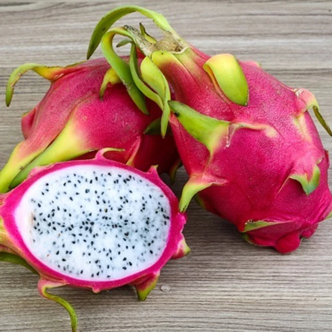 EXPORT FRESH DRAGON FRUIT / PITAYA WITH THE HIGH QUALITY and COMPETITIVE PRICE 2021
