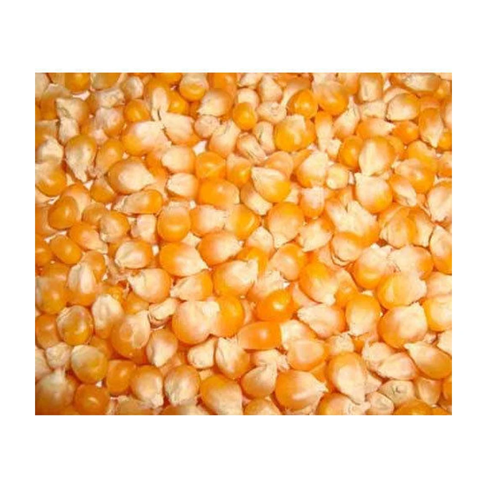 
 Желтый кукурузный корм для животных, желтый кукурузный корм для животных  