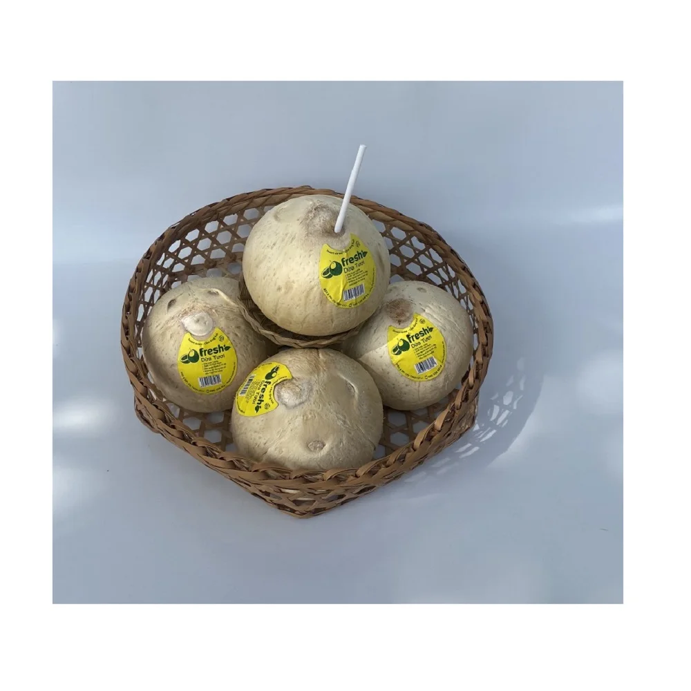 Vietnam Favourite Beverage Light Yellowish Young Coconut Organic Natural Fresh Convenient Coconut