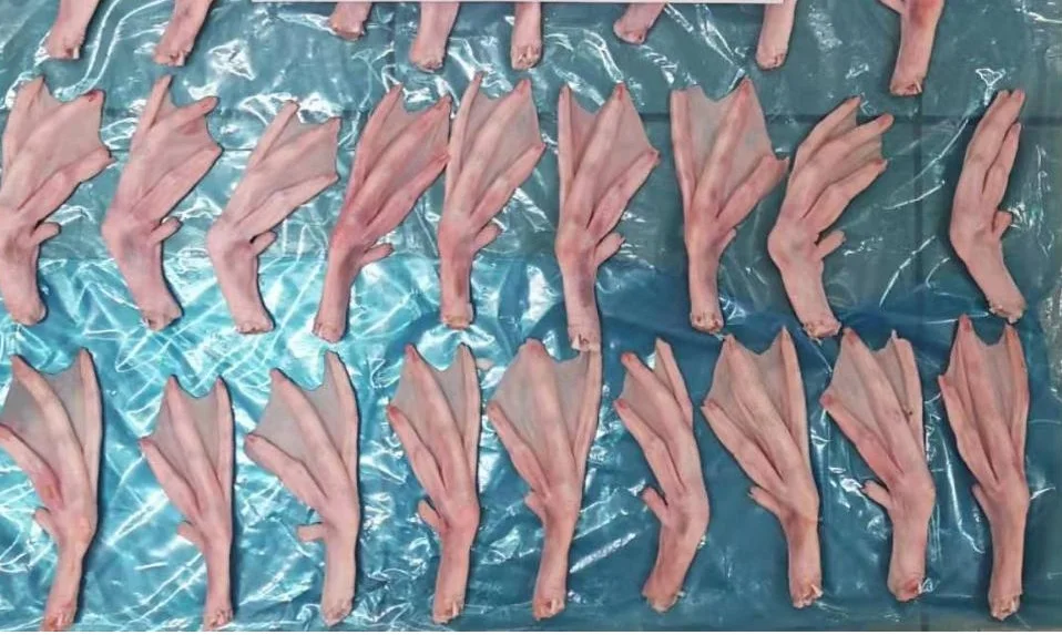 Halal Frozen Duck Feet