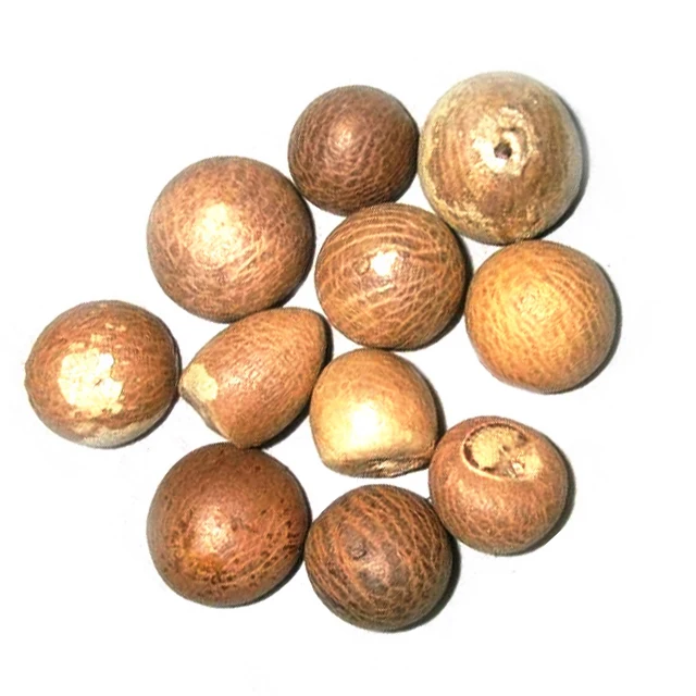 Betel Nut / Whole And Split Betel Nuts In Bulk Best Grade Wholesale