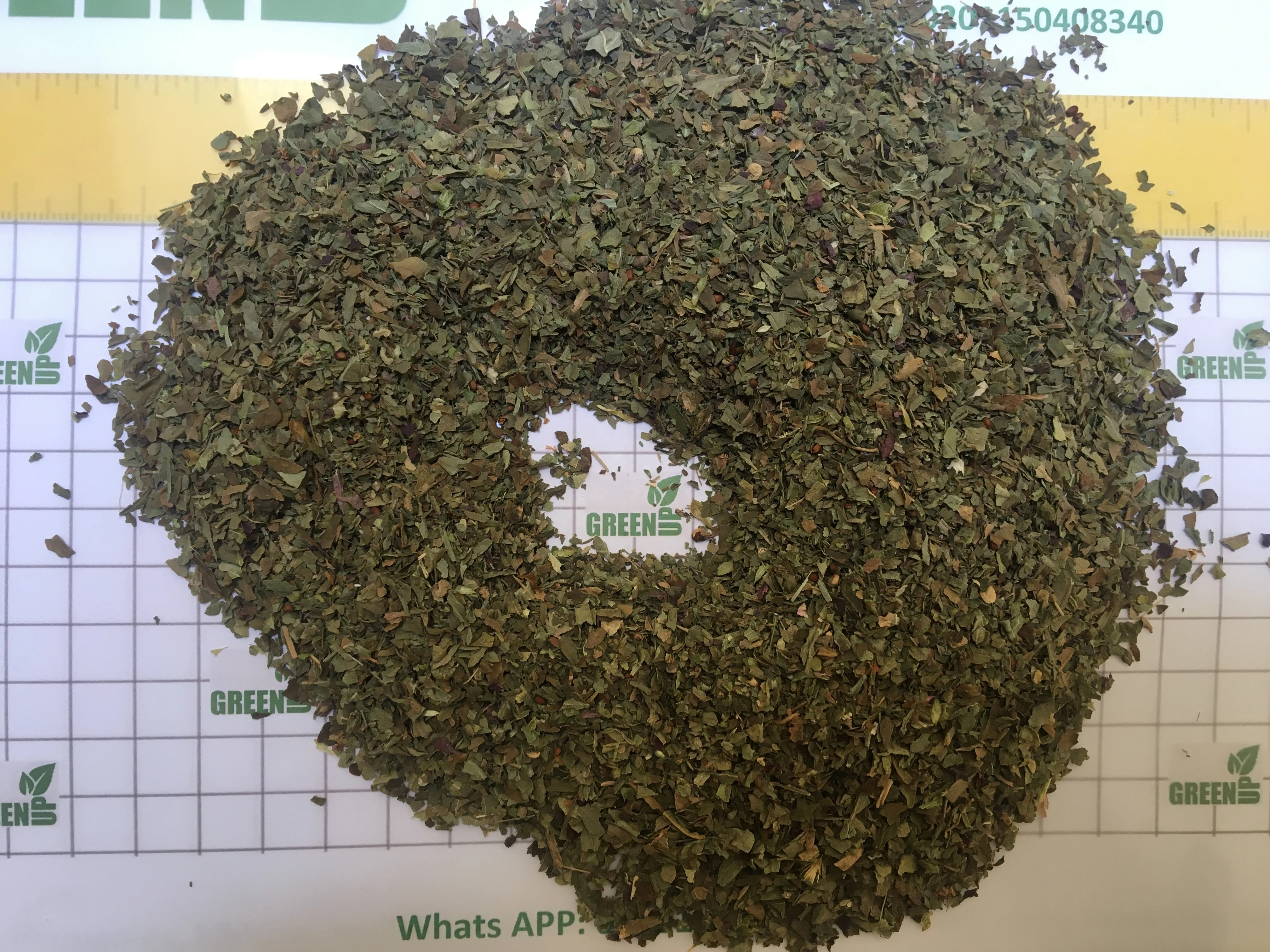 basil leaves green color no ash content no admixture no black leaves  no impurities Basilicum   high quality no stem fresh crops