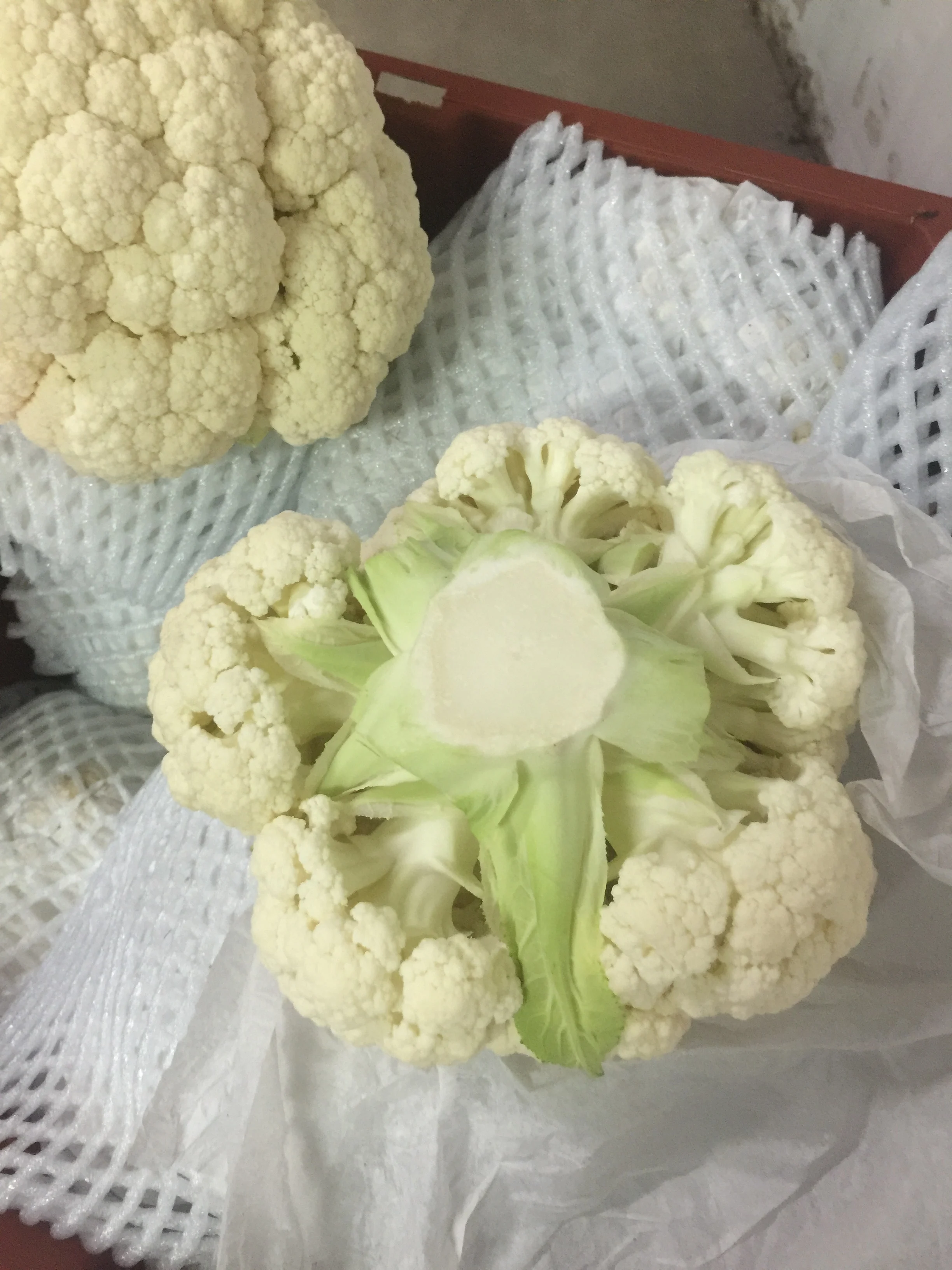 Fresh vegetable cauliflower and frozen cauliflower fresh
