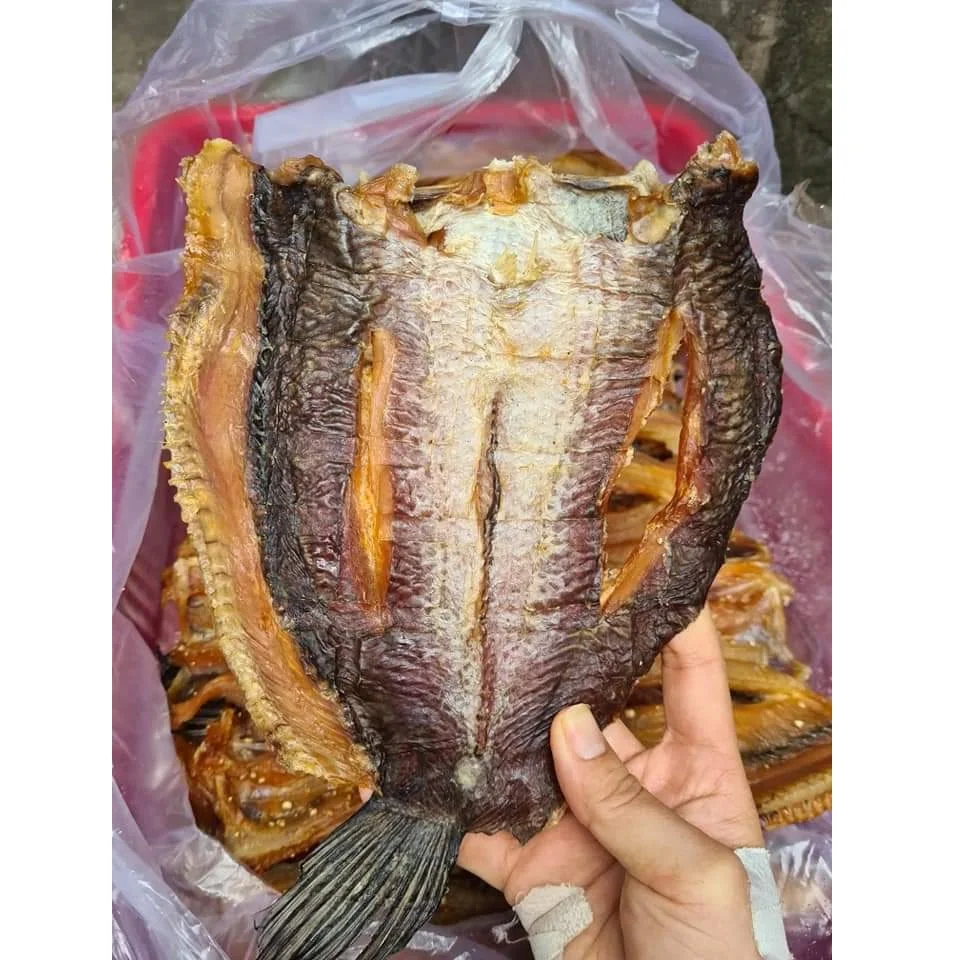 Dry Fish Dried Snakehead Sliced Salt Flavor With Vacuum Pack Packaging With Cheap Price