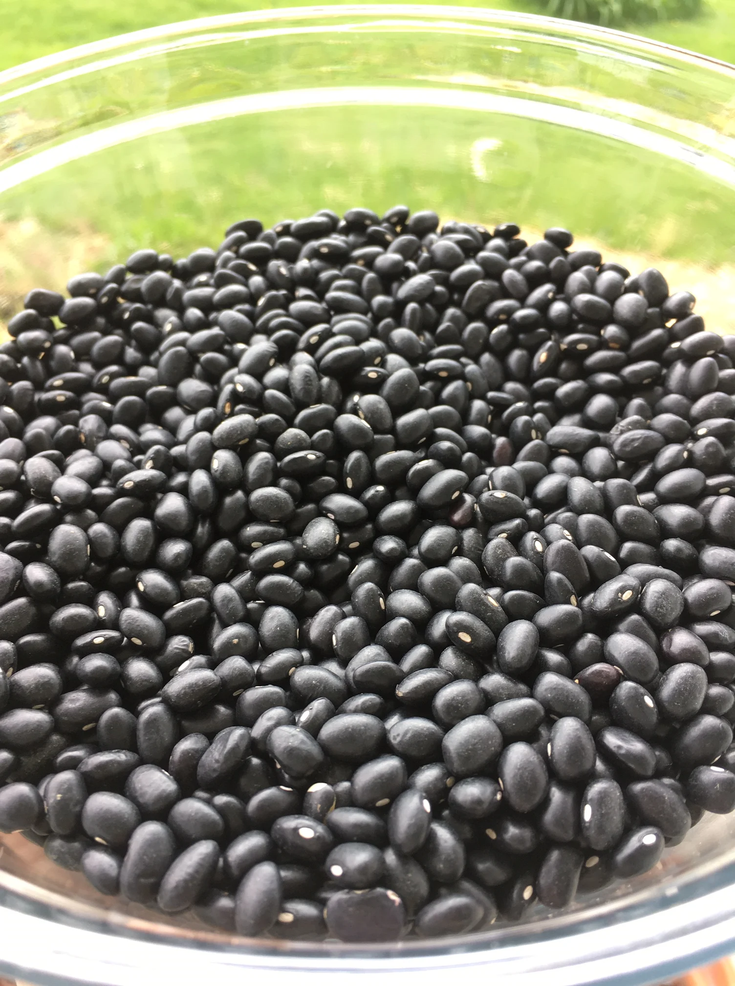 Dried Black Bean.jpg