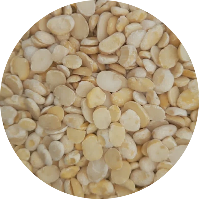 Split Faba Beans Top Quality