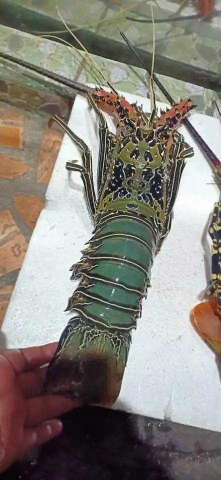 High Quality Seafood Fresh Water Cooked Whole Frozen Spicy Crawfish Lobster