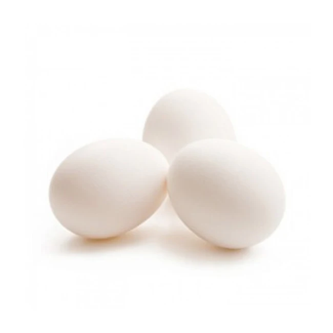 Top Quality White Shell Chicken Eggs at Wholesale Price