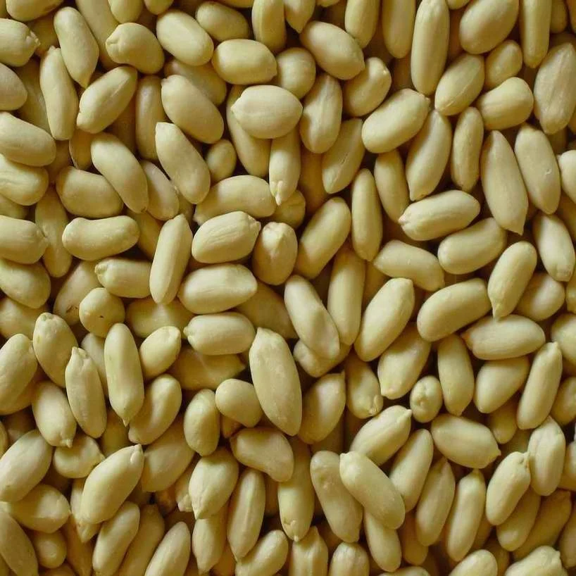 Premium quality Blanched peanuts for export