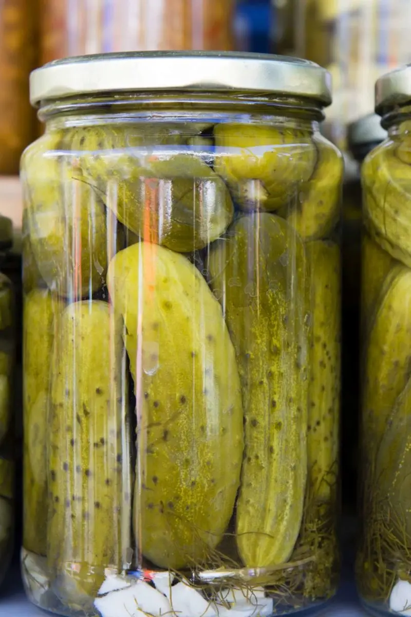 Pickle Cucumber Exporters
