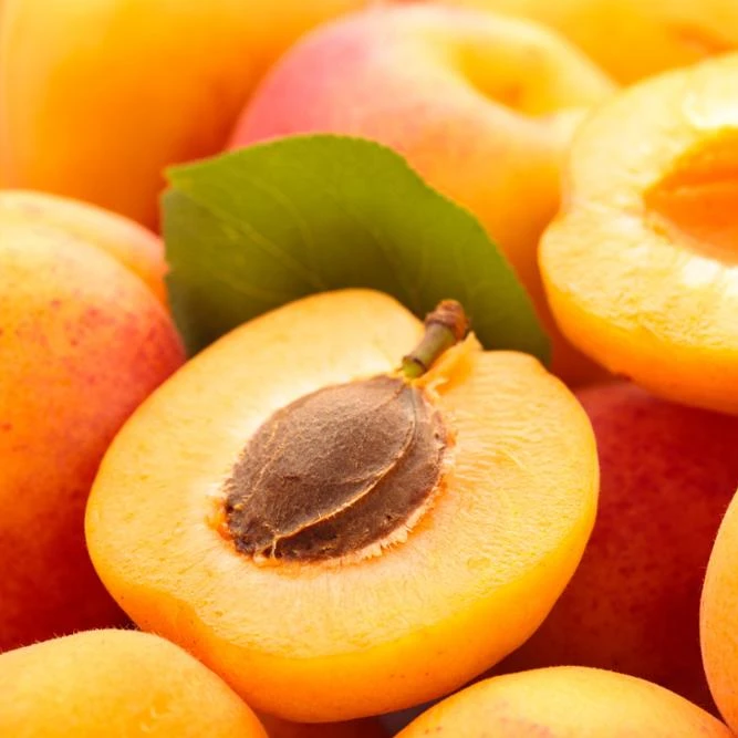 
fresh apricot... 