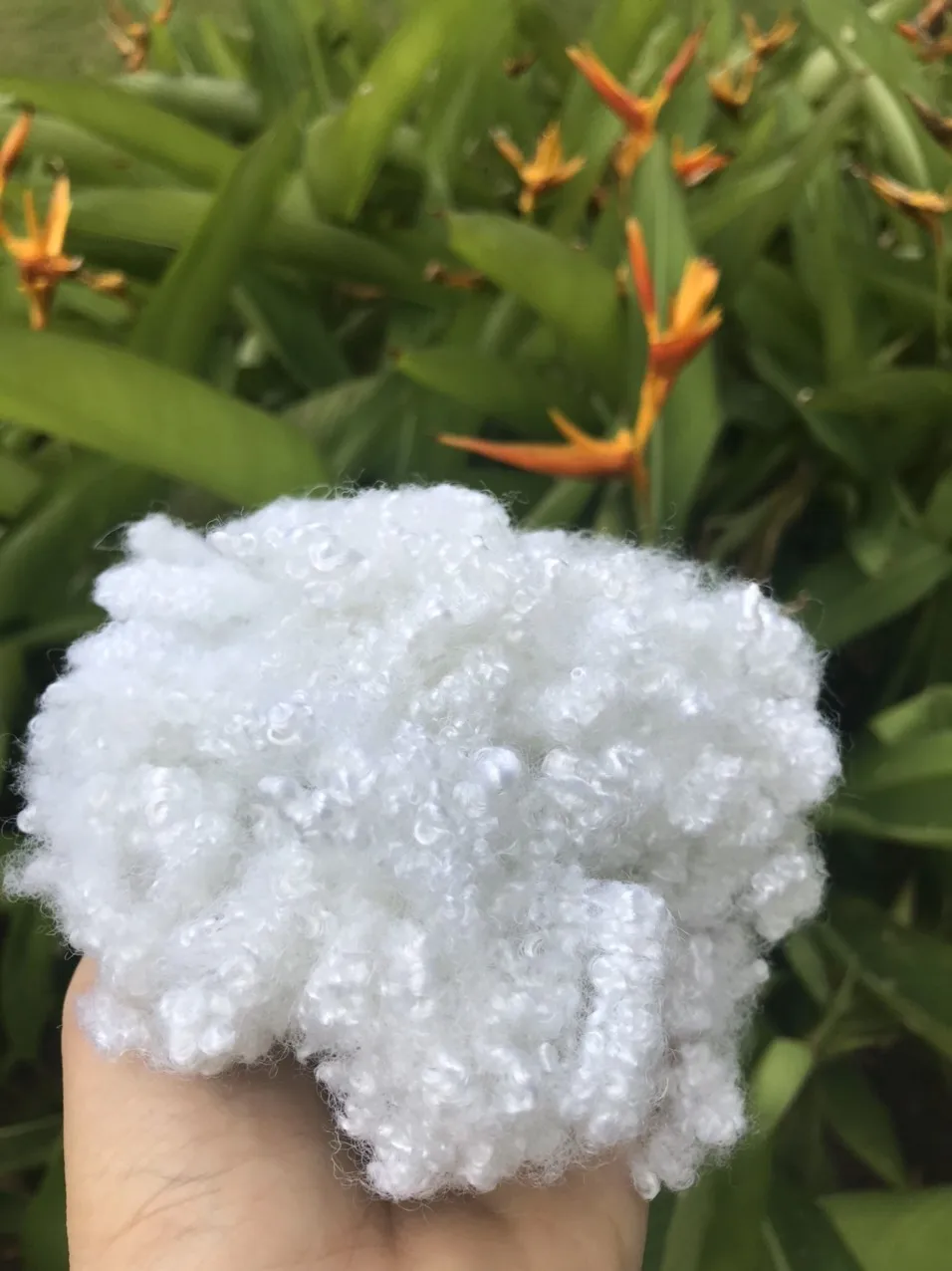 Hollow Conjugated Siliconized Polyester Staple Fiber  white color A grade