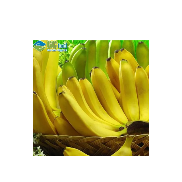 (GC Food)  Fresh Cavendish fresh  Banana  best - 100% High Quality Green Fresh Cavendish Banana pure with  from Vietnam