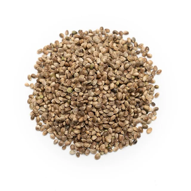 Hemp Seed - Cannabis Sativa Seed