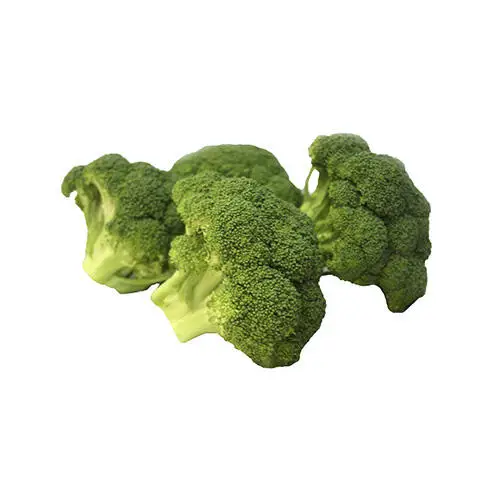 Fresh and good quality broccoli at competitive price