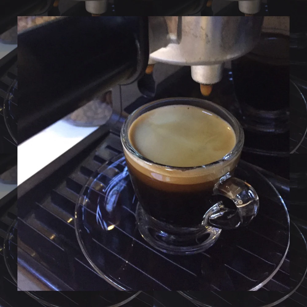 Vietnam First Grade Arabica Green Coffee Beans Premium Quality Screen 18