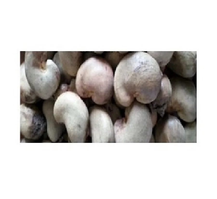 High Quality Fresh CORN FLOUR High Quality Ready to Ship