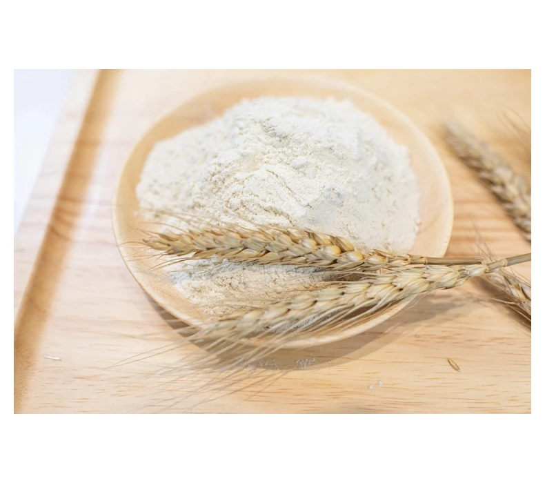 High quality wheat grains / Durum wheat wholesale