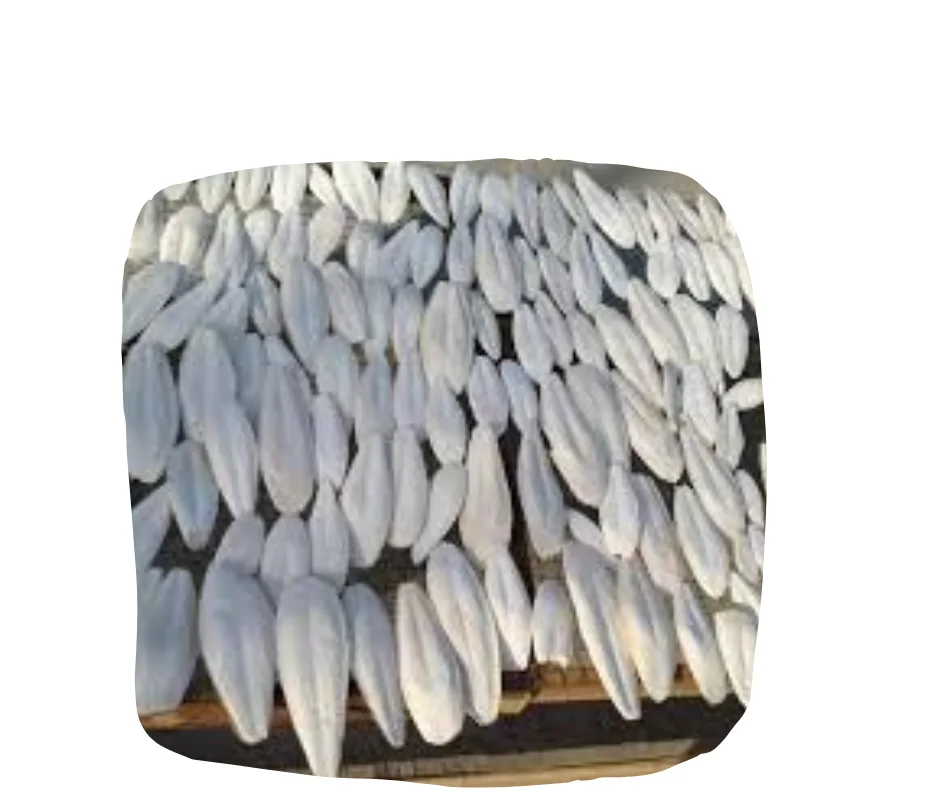 wholesaler Cuttlebone/ Ms. Claire +84817719686