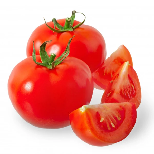 Fresh Red Tomato / Fresh Tomato from India / Fresh Green Tomatoes