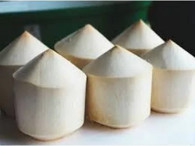 
100% Natural Fresh Coconut Young Coconut with High Quality for Wholesale Top Cover / Diamond cut / Round Shape Vietnam Coconut 
