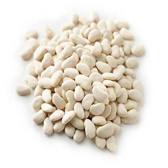 
Looking for import and export partner of organic white butter beans for baking 