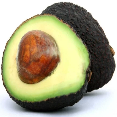 
FRESH HASS AVOCADO - LOW PRICE FROM VIET NAM 