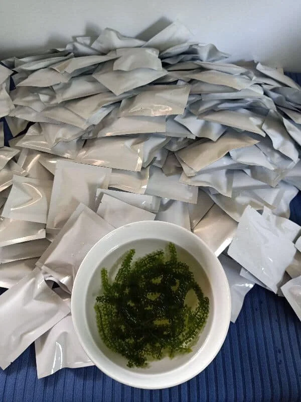  Вьетнам Umibudo SeaGrapes