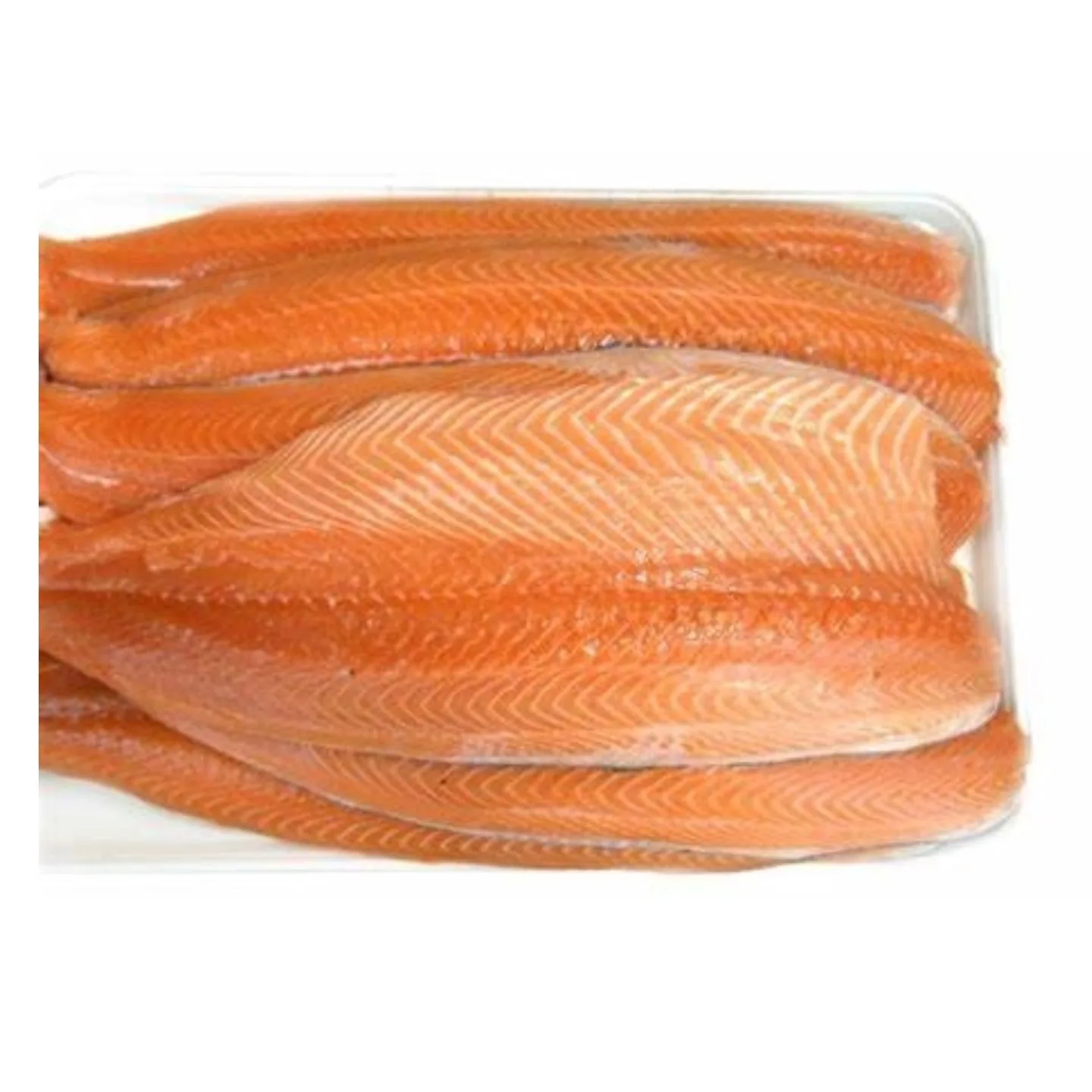 Fresh Stock Whole Salmon Fish Frozen Salmon Fish Price