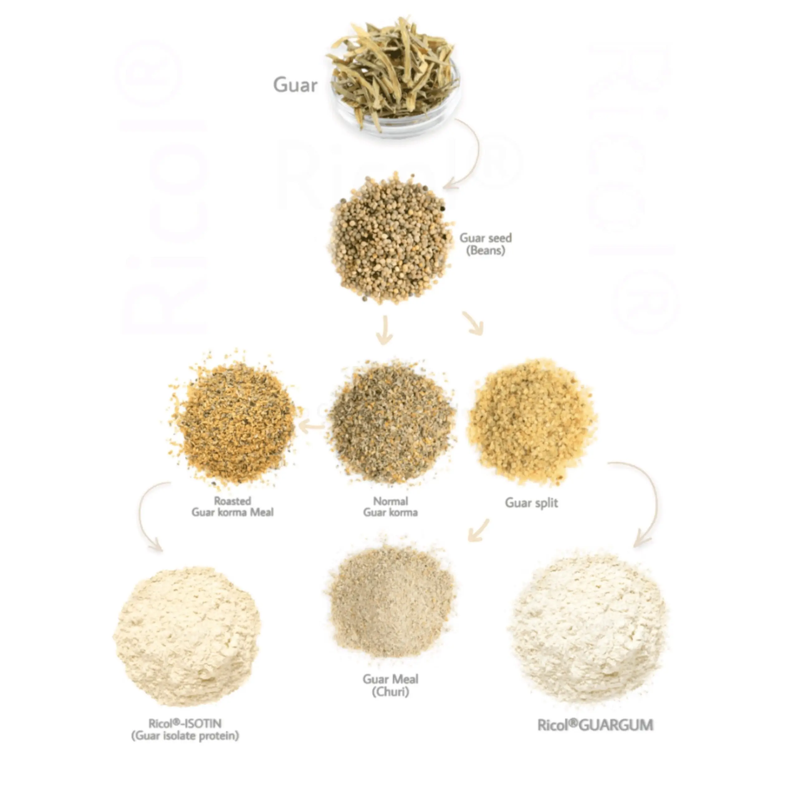 guar gum - Guar Gum Food Grade Thickeners Guar Gum