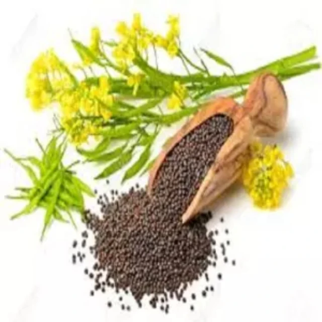 
100% Quality Bag Packaging Canola Seeds Non-GMO Natural Organic Rape Seed Healthy rapeseed canola seeds 