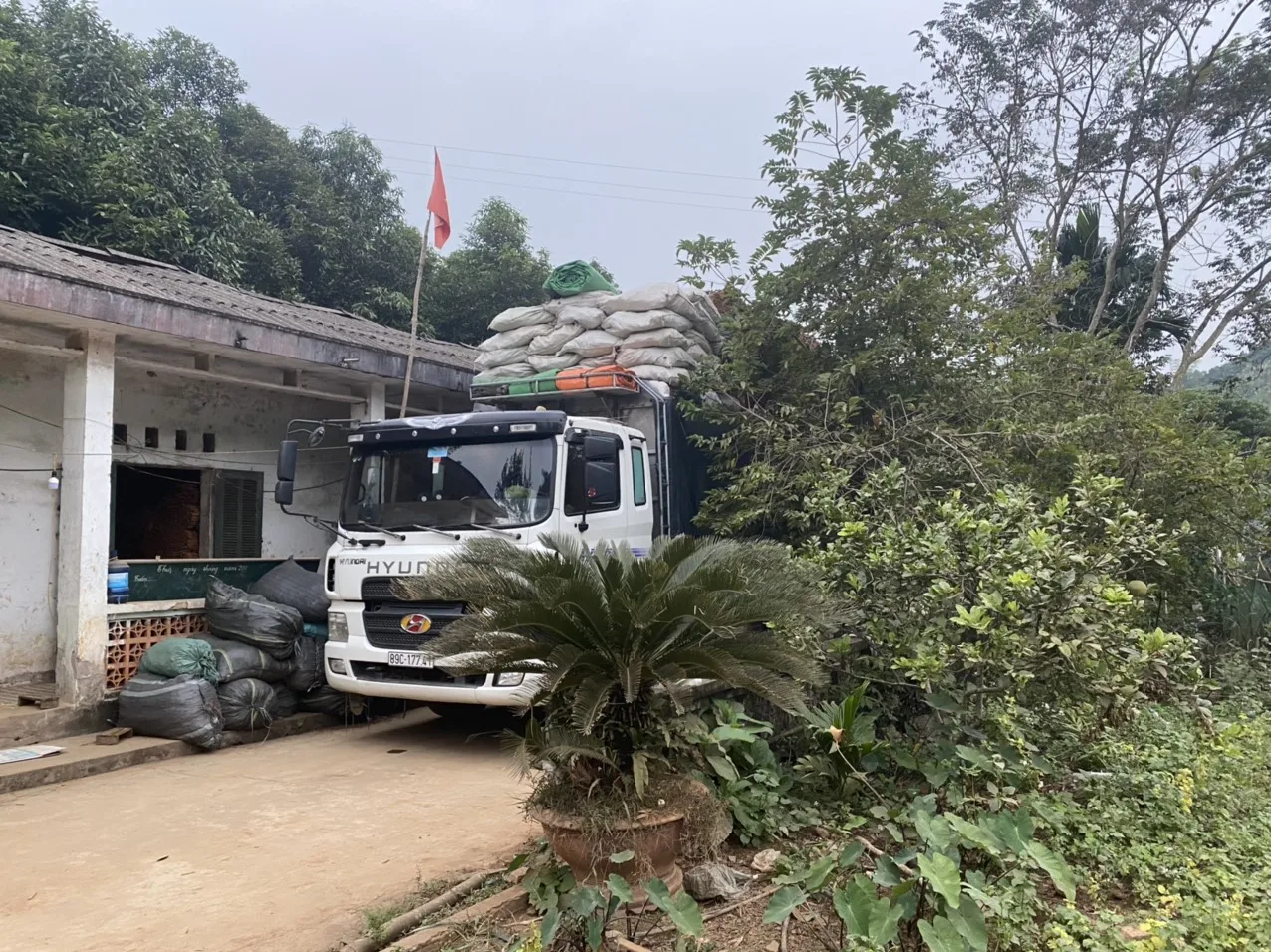 Горячая Распродажа черный кардамон кассия корица цинмон высокая эссенция Хлебобулочные ингредиенты черная цейлонская производитель сделано в Vie